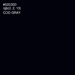 #02020D - Cod Gray Color Image